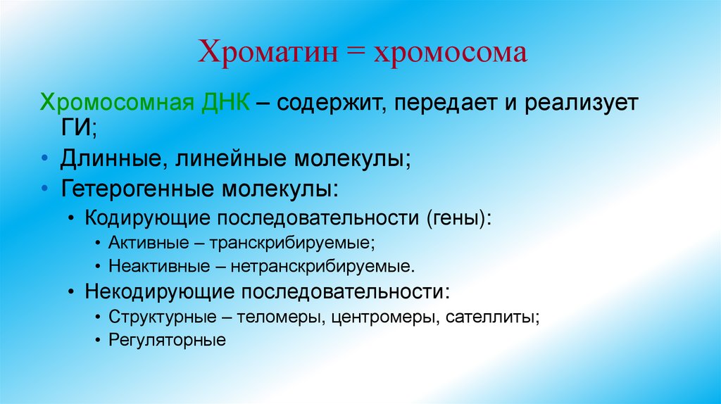 Хроматин = хромосома