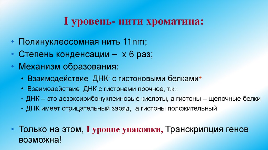 I уровень- нити хроматина: