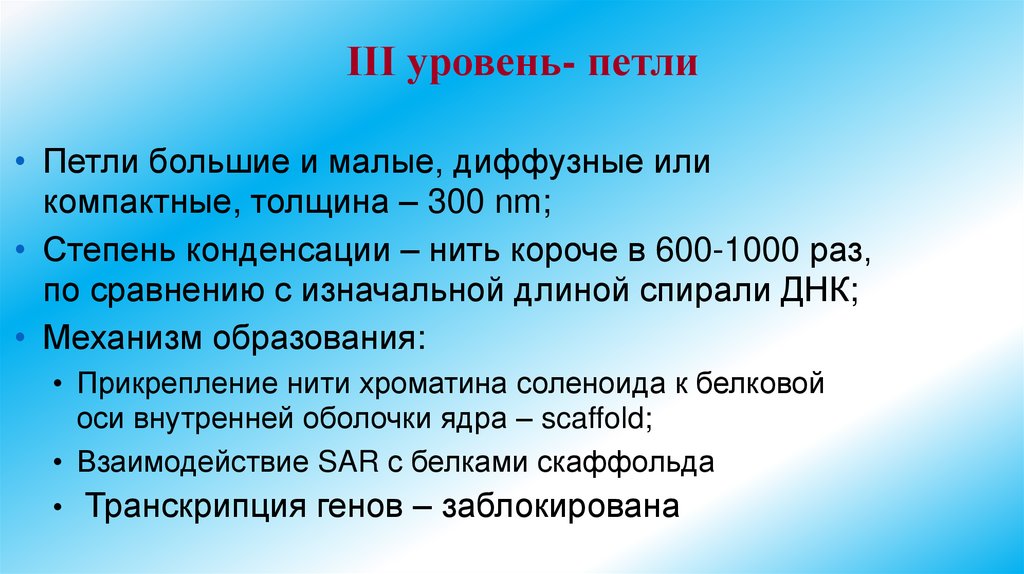 III уровень- петли