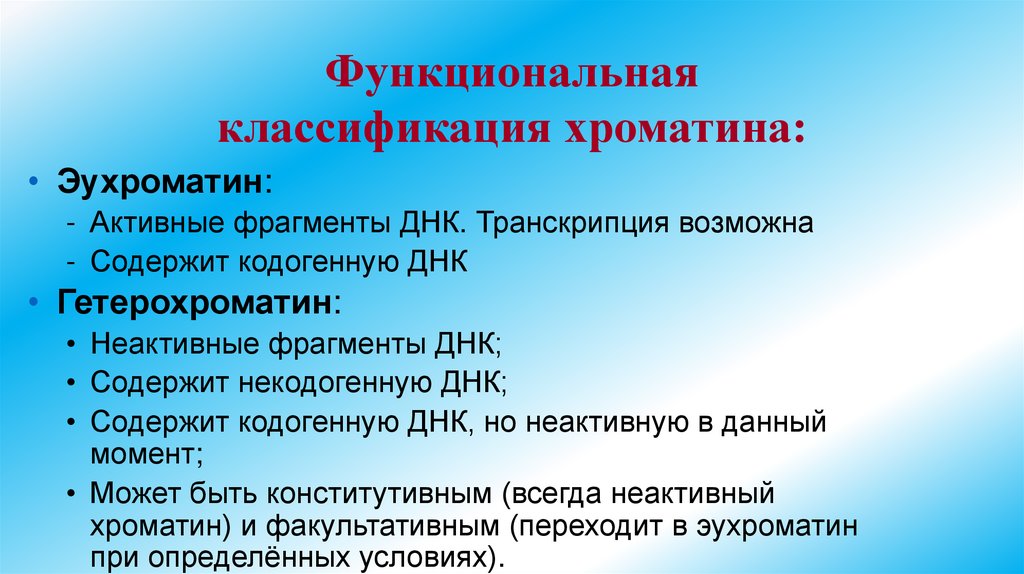 Функциональная классификация хроматина: