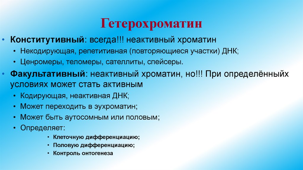 Гетерохроматин