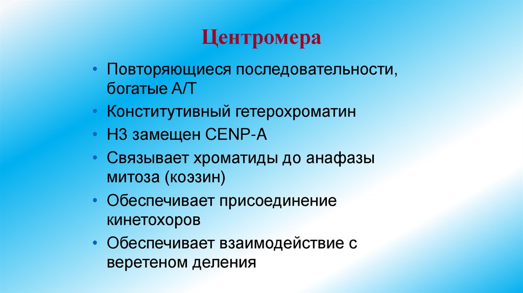 Центромера