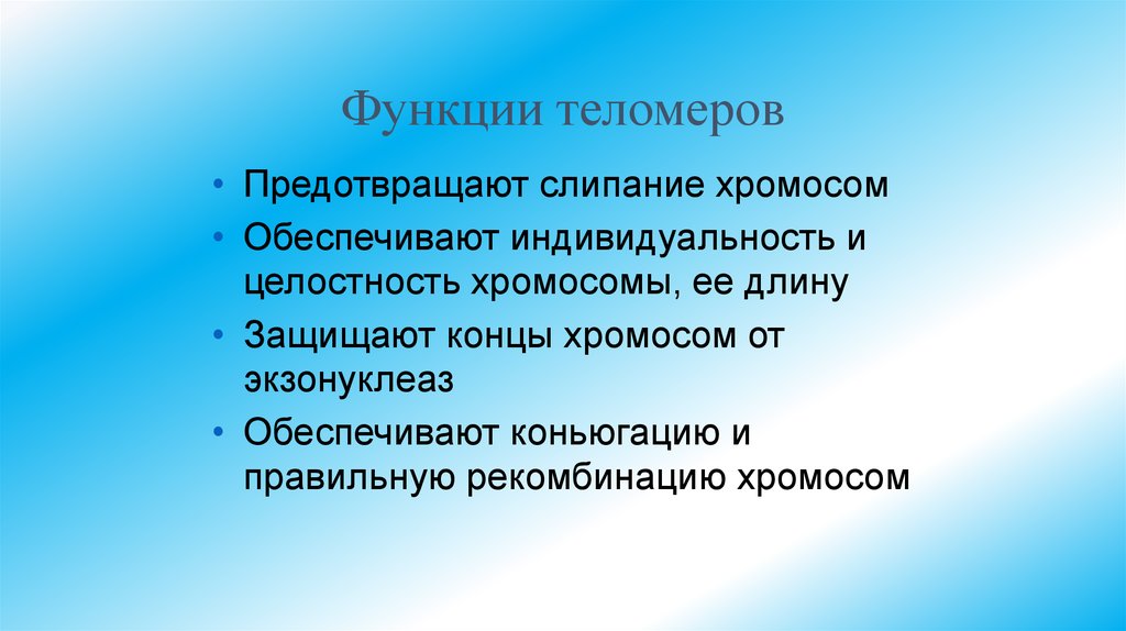 Функции теломеров