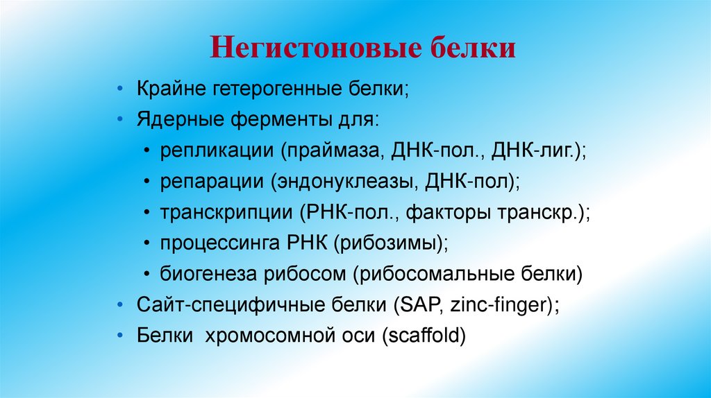 Негистоновые белки