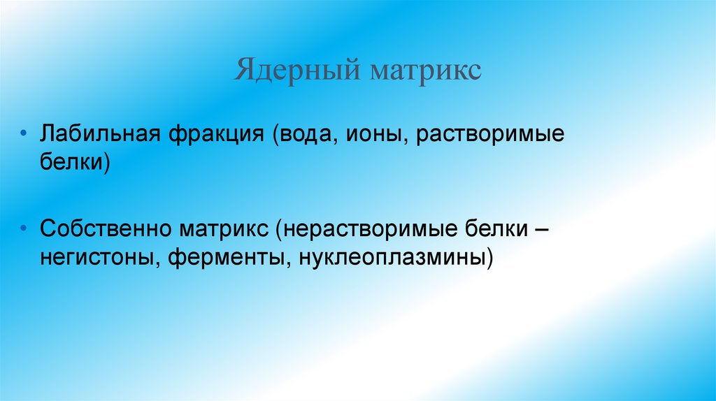 Ядерный матрикс