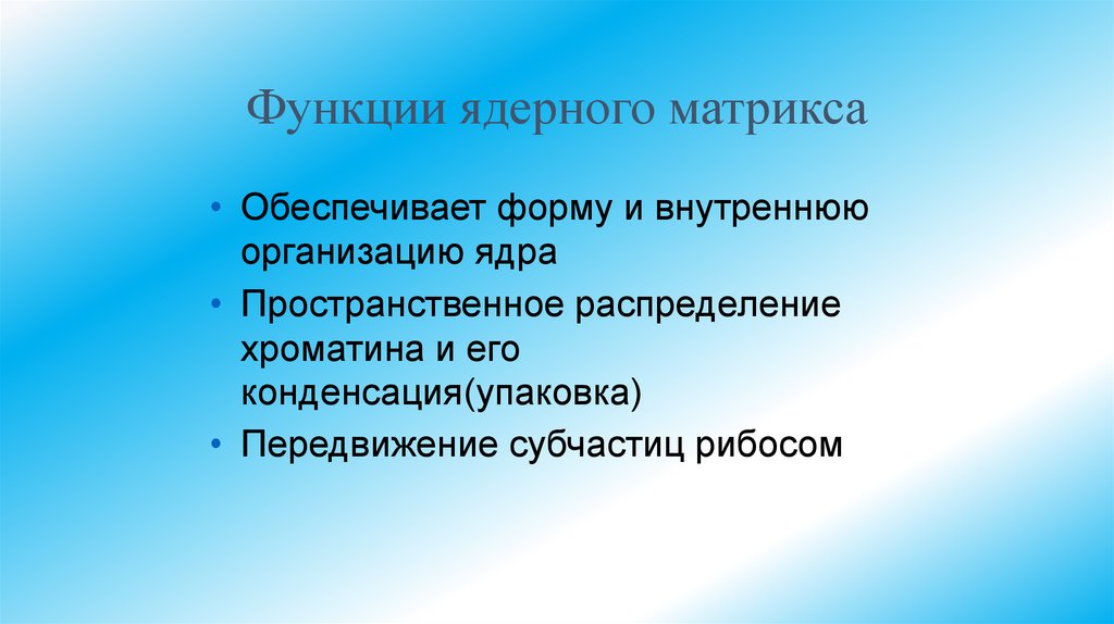 Функции ядерного матрикса