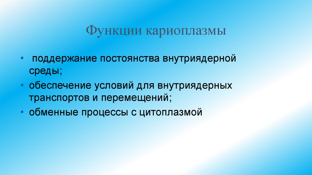Функции кариоплазмы