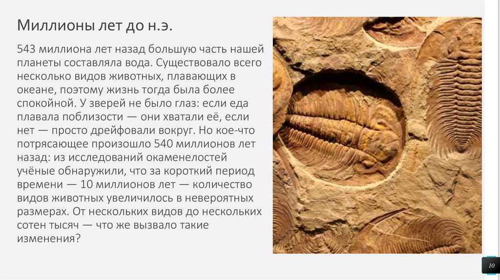 Миллионы лет до н.э.