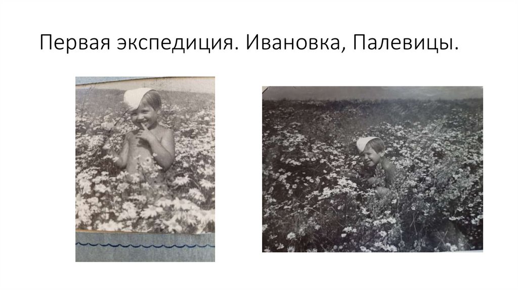 Первая экспедиция. Ивановка, Палевицы.