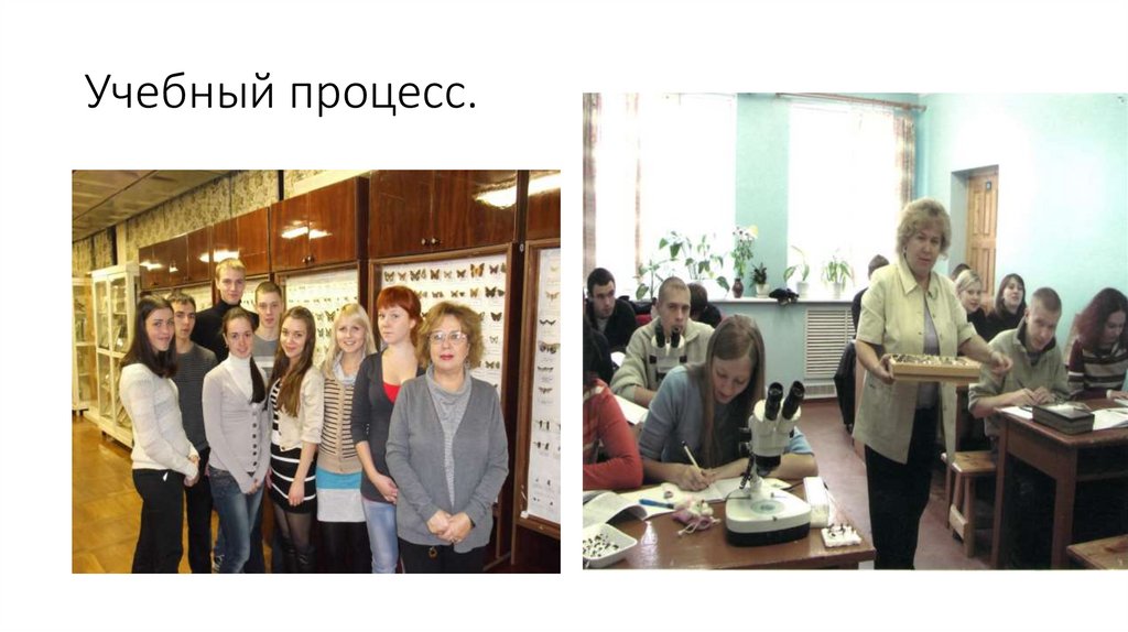 Учебный процесс.