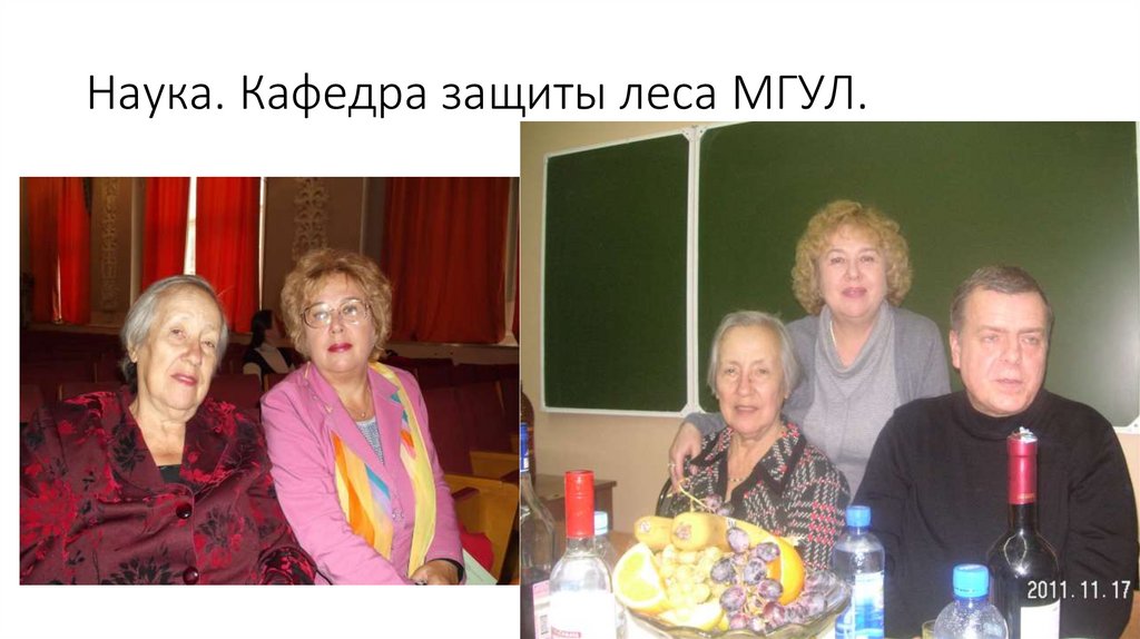 Наука. Кафедра защиты леса МГУЛ.