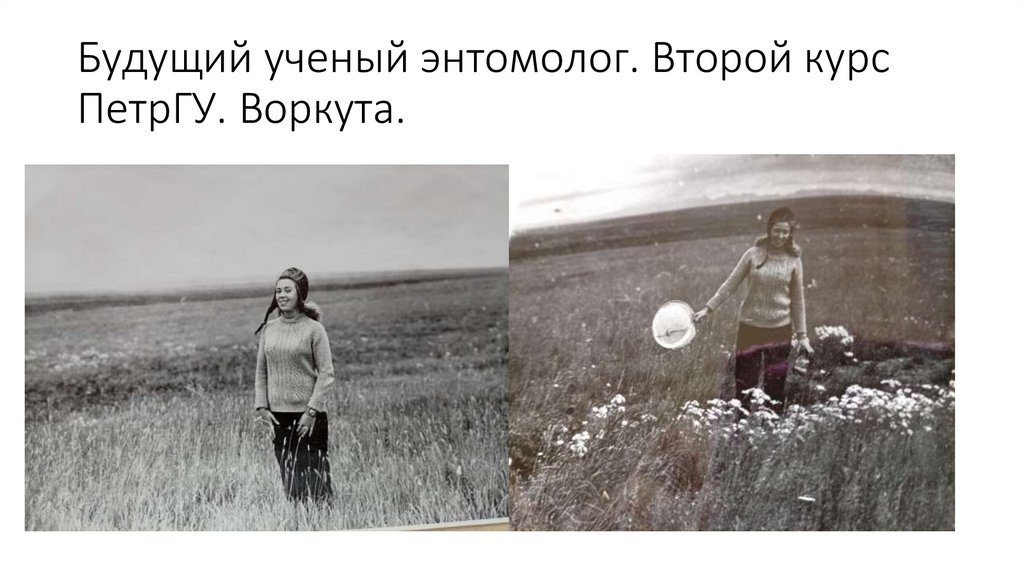 Будущий ученый энтомолог. Второй курс ПетрГУ. Воркута.