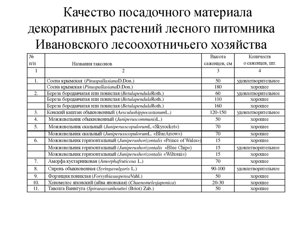 Качество посадочного материала декоративных растений лесного питомника Ивановского лесоохотничьего хозяйства
