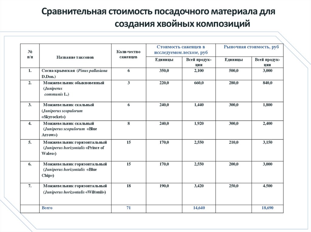 Сравнительная стоимость посадочного материала для создания хвойных композиций