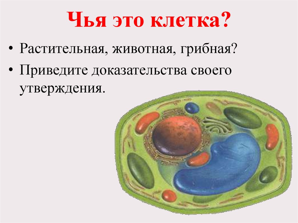 Чья это клетка?