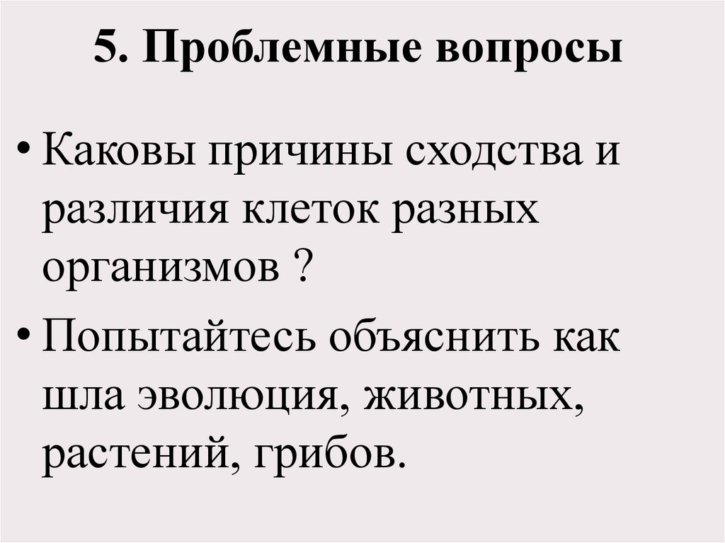 5. Проблемные вопросы
