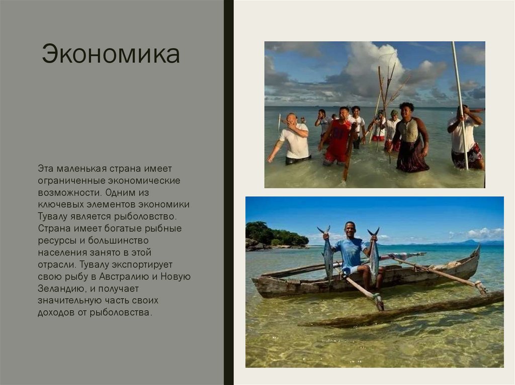 Экономика