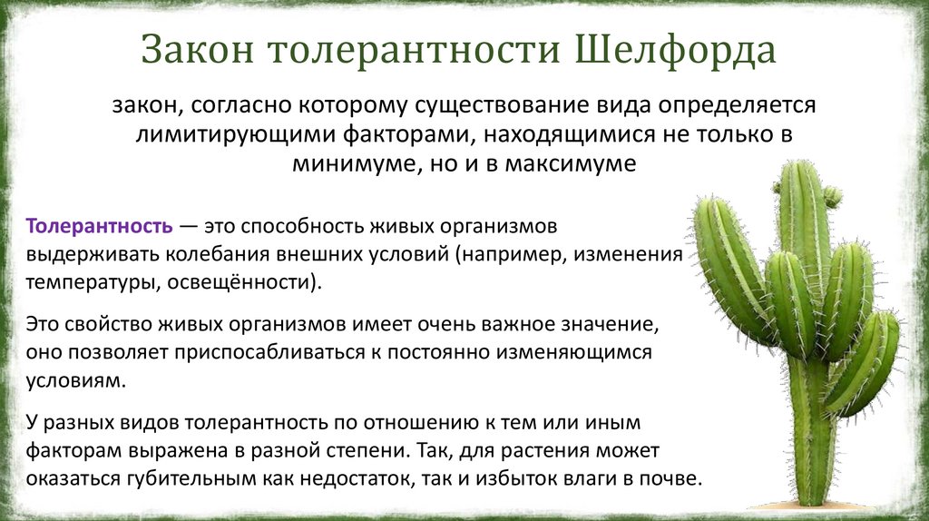 Закон толерантности Шелфорда 