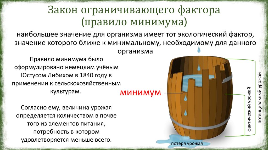 Закон ограничивающего фактора (правило минимума)