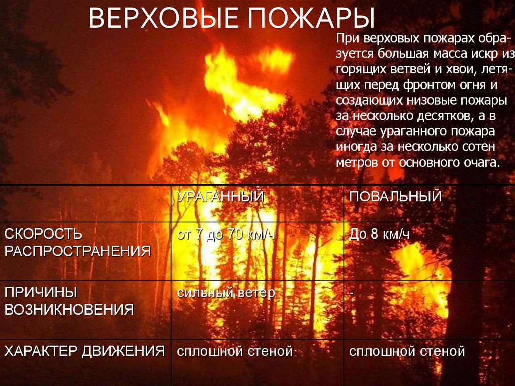 ВЕРХОВЫЕ ПОЖАРЫ