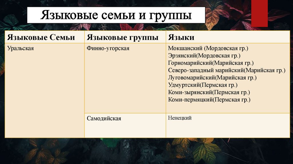 Языковые семьи и группы