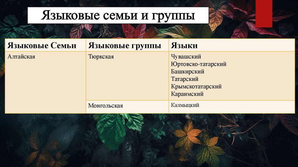 Языковые семьи и группы