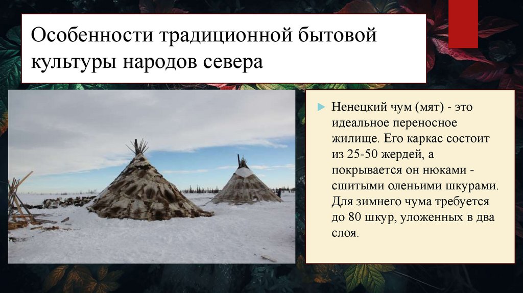 Особенности традиционной бытовой культуры народов севера