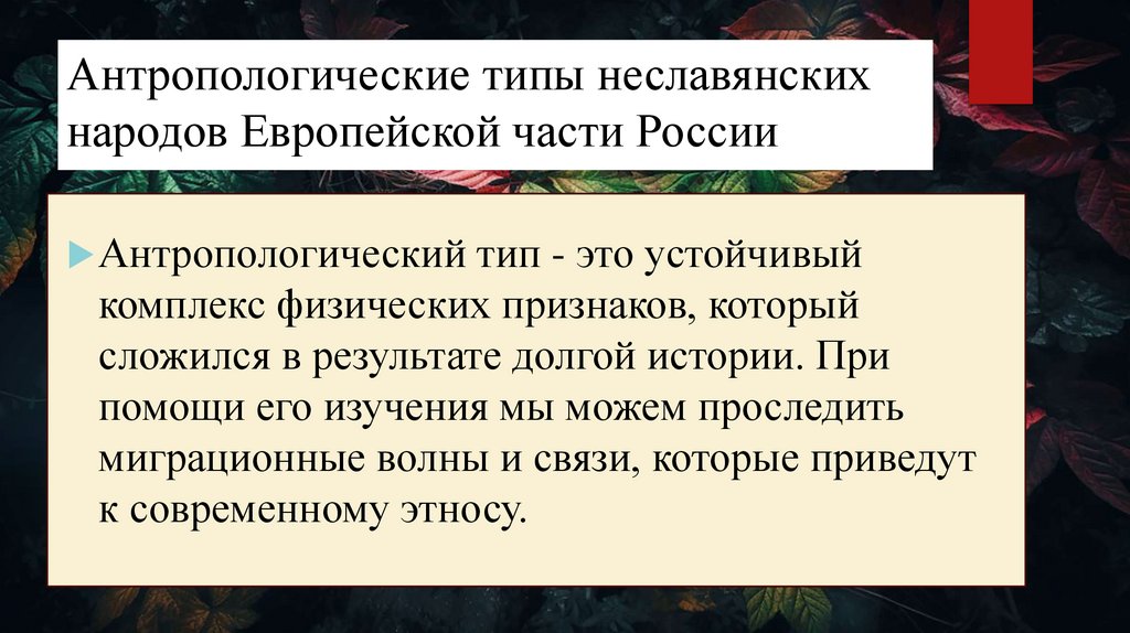 Антропологические типы неславянских народов Европейской части России