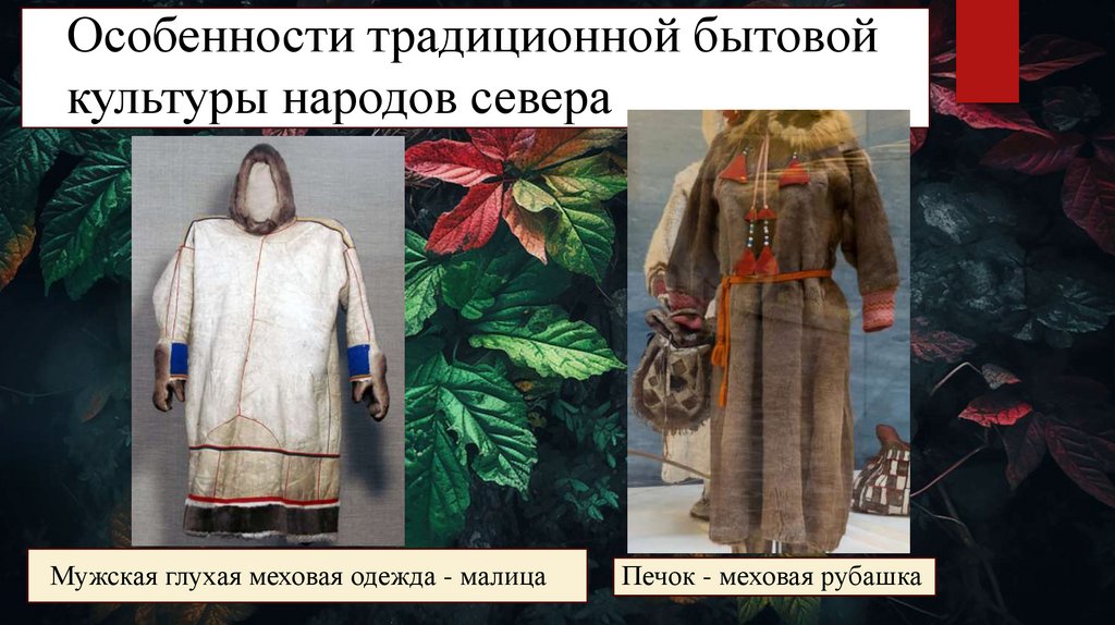 Особенности традиционной бытовой культуры народов севера