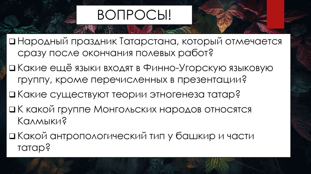 ВОПРОСЫ!