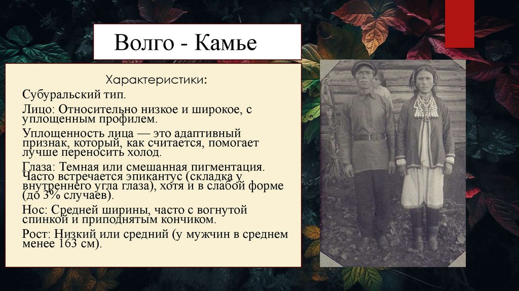 Волго - Камье