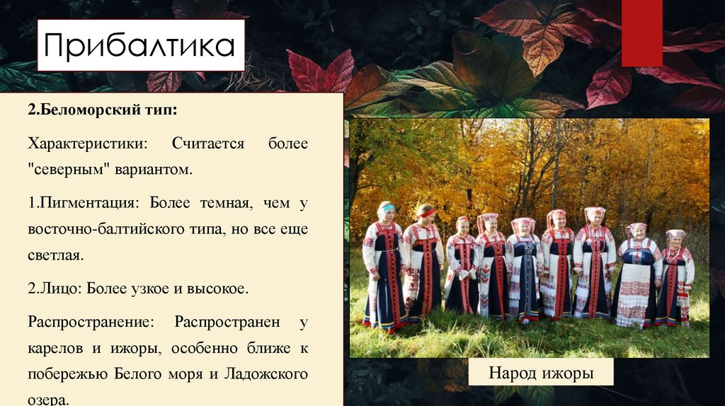 Прибалтика