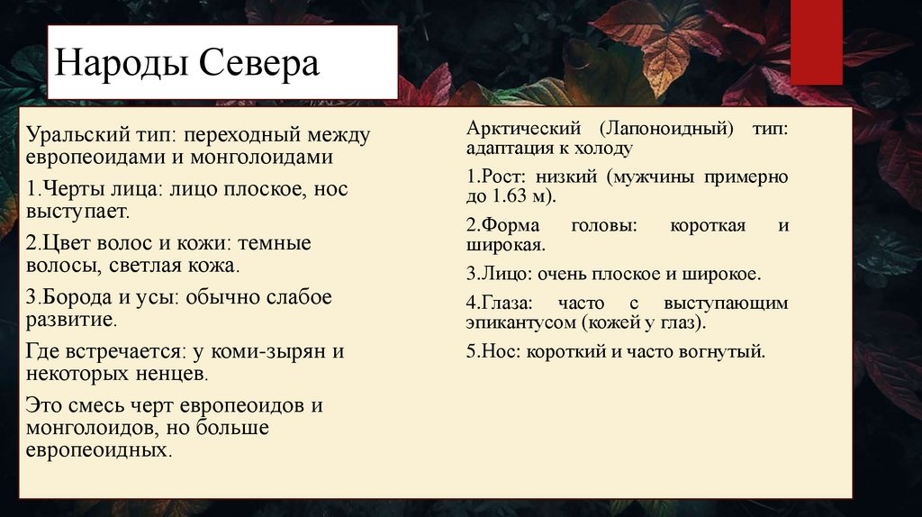 Народы Севера