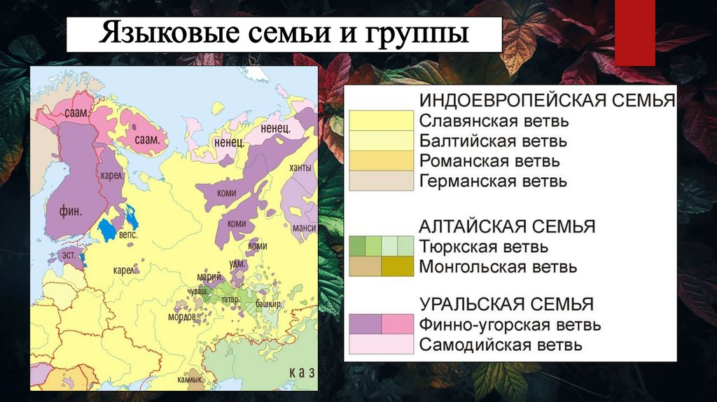 Языковые семьи и группы