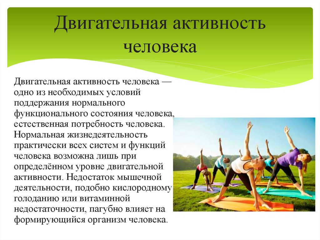 Двигательная активность человека