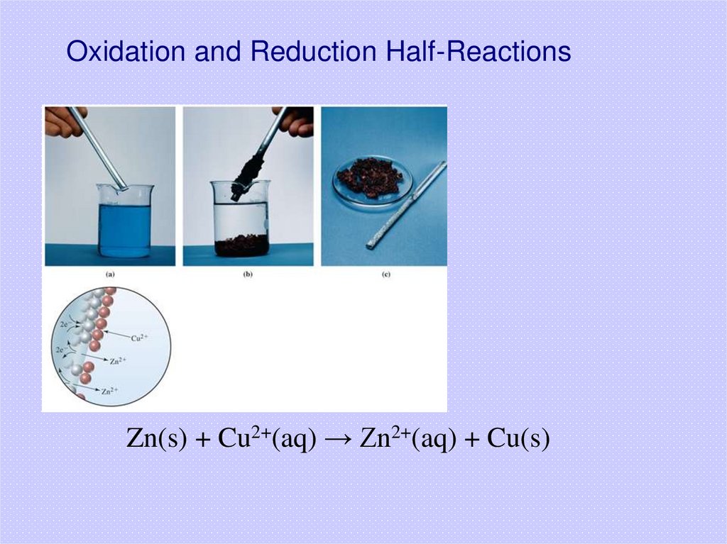 Oxidation and Reduction Half-Reactions