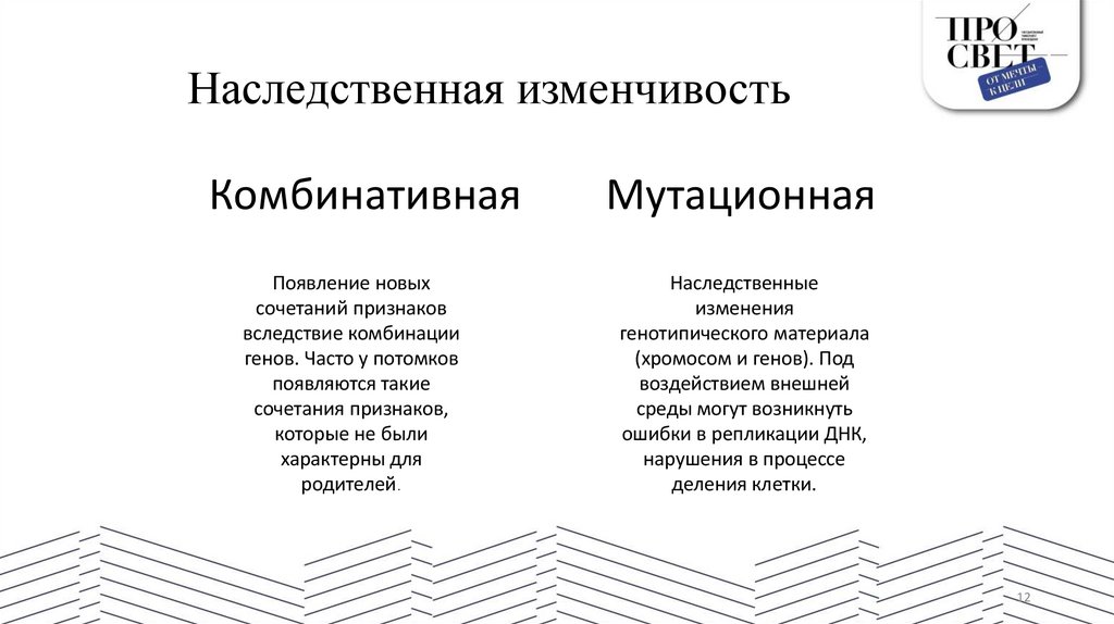 Наследственная изменчивость