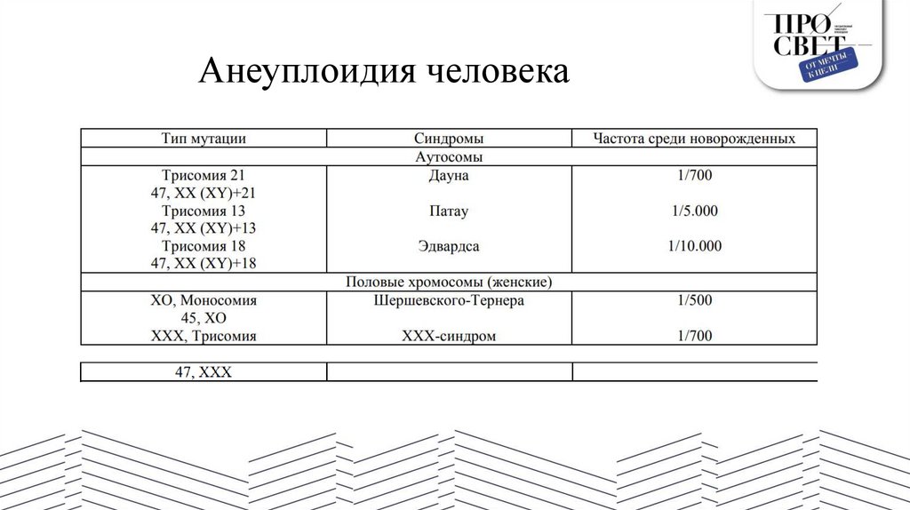 Анеуплоидия человека