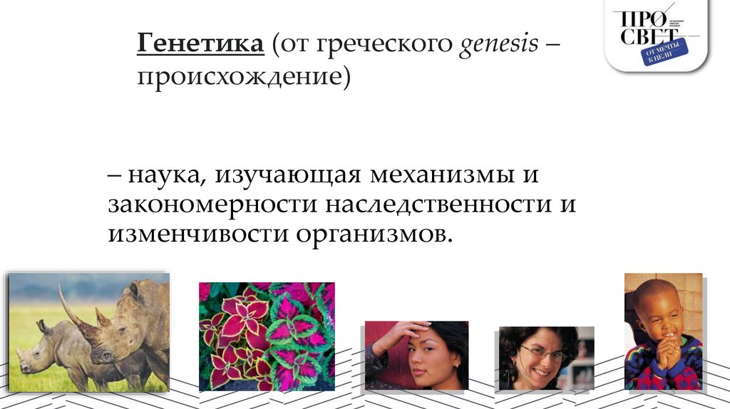 – наука, изучающая механизмы и закономерности наследственности и изменчивости организмов.