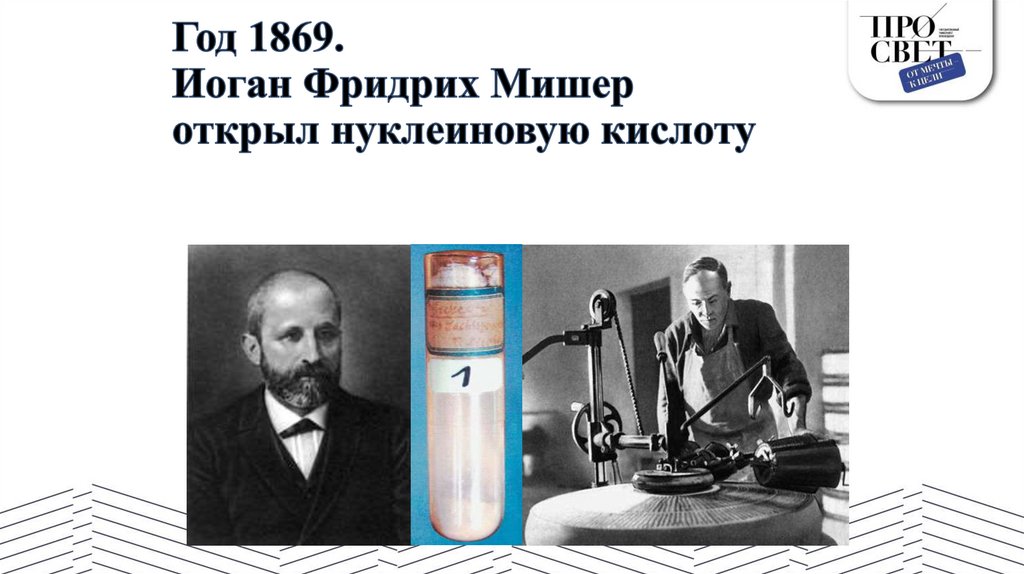 Год 1869. Иоган Фридрих Мишер открыл нуклеиновую кислоту