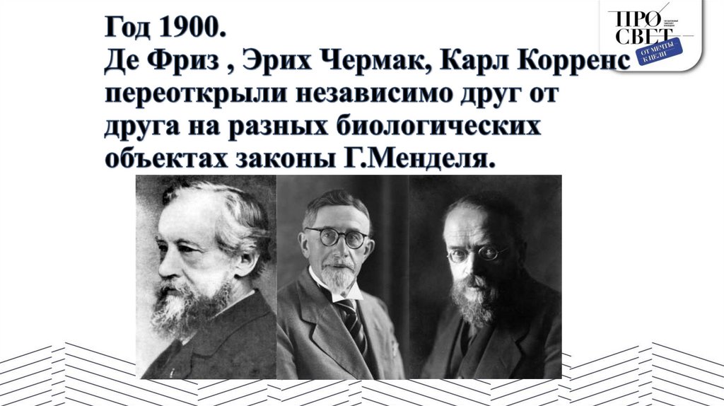 Год 1900. Де Фриз , Эрих Чермак, Карл Корренс переоткрыли независимо друг от друга на разных биологических объектах законы