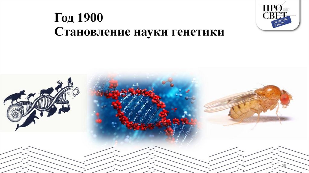 Год 1900 Становление науки генетики
