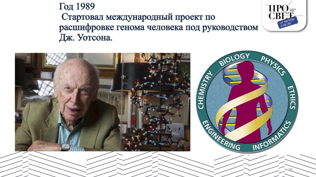 Год 1989 Стартовал международный проект по расшифровке генома человека под руководством Дж. Уотсона.