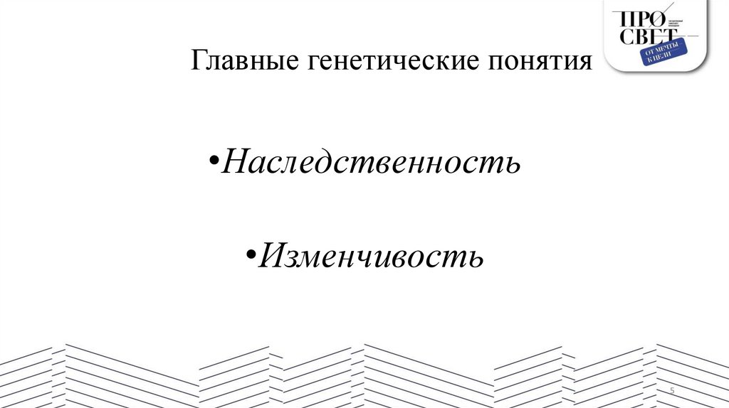 Главные генетические понятия