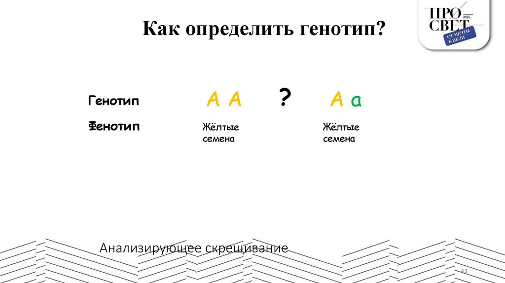 Анализирующее скрещивание