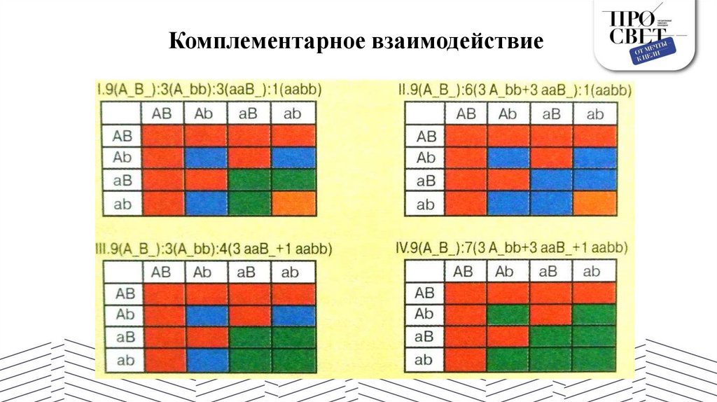 Комплементарное взаимодействие