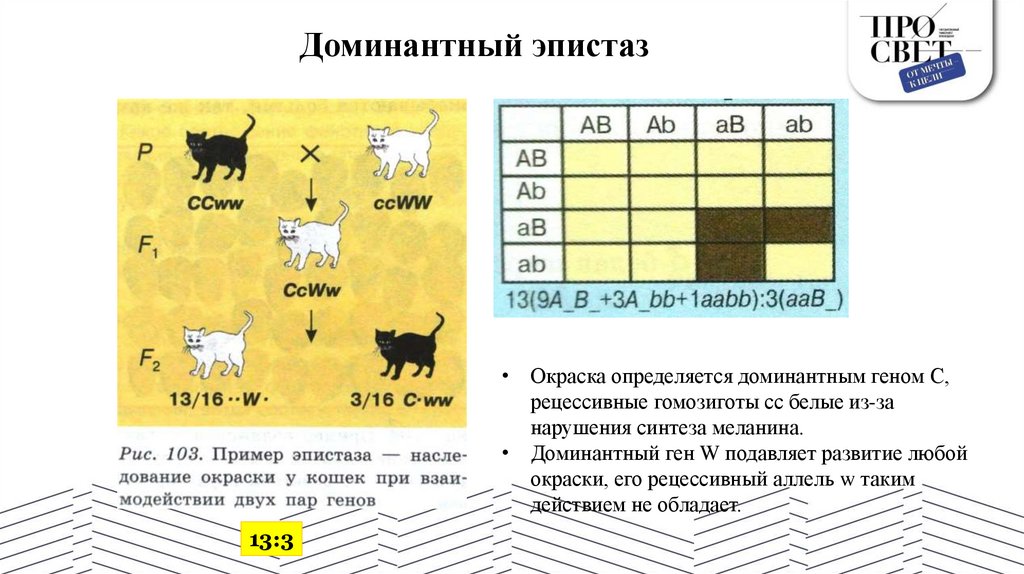 Доминантный эпистаз