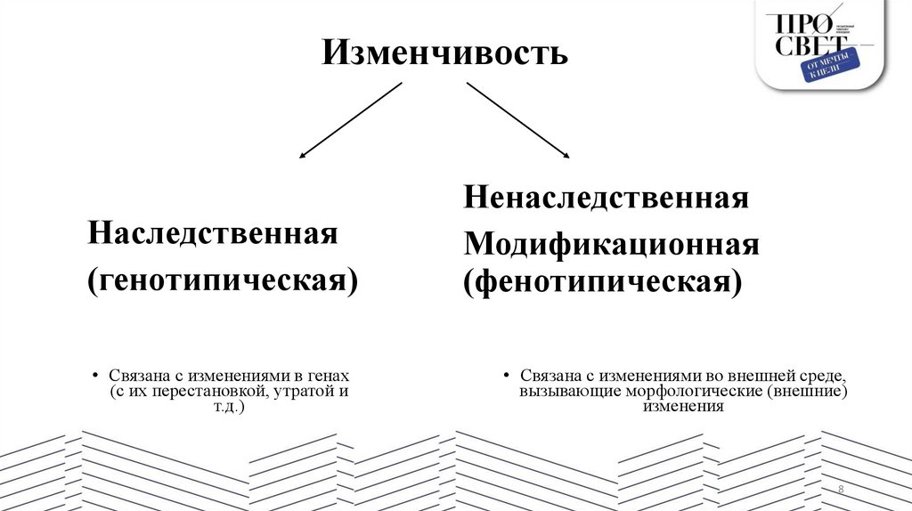 Изменчивость