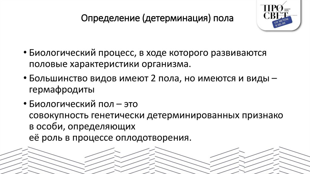 Определение (детерминация) пола