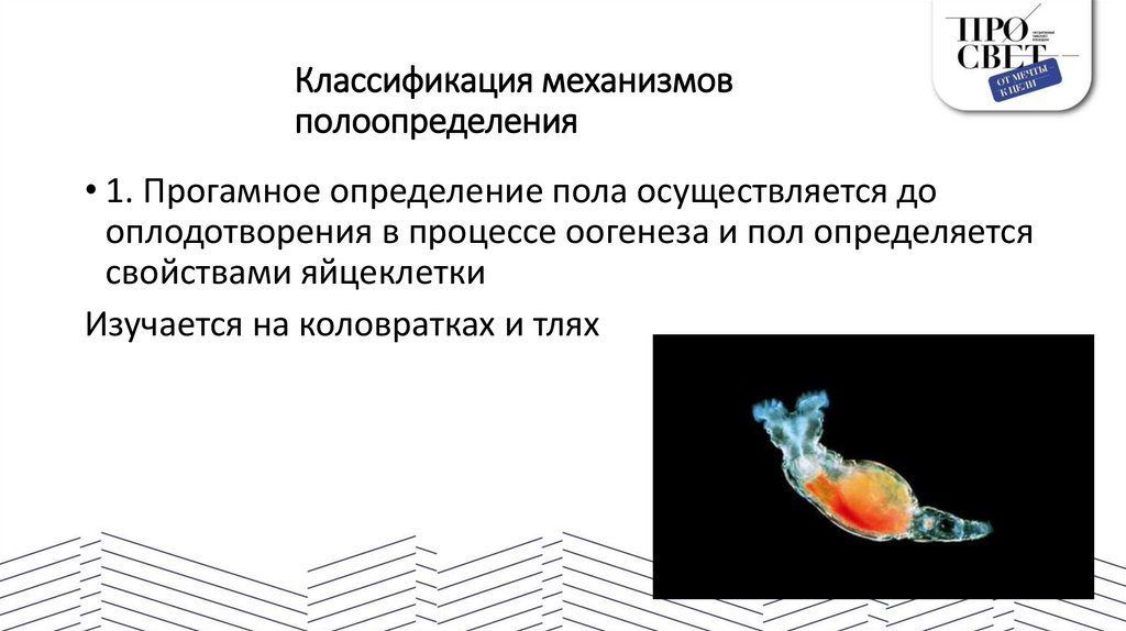 Классификация механизмов полоопределения